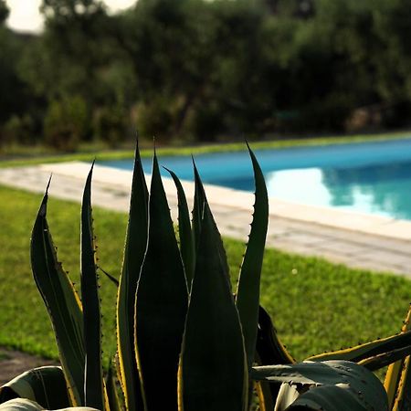 Accogliente Villa Con Piscina Caltagirone Dış mekan fotoğraf