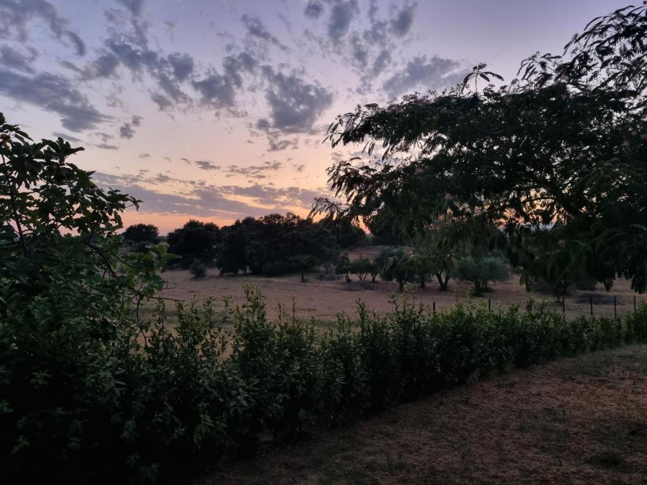 Accogliente Villa Con Piscina Caltagirone Dış mekan fotoğraf