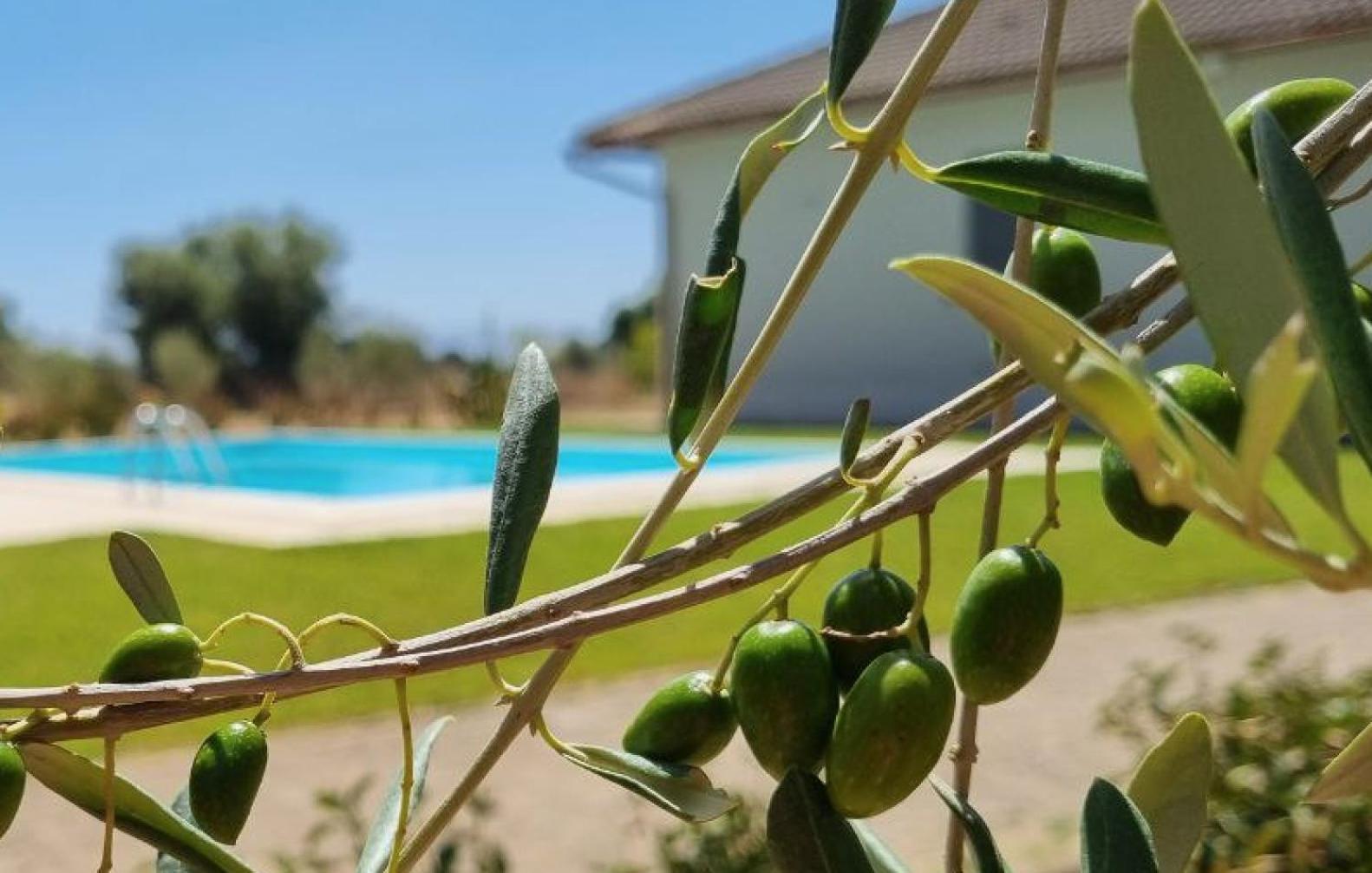 Accogliente Villa Con Piscina Caltagirone Dış mekan fotoğraf