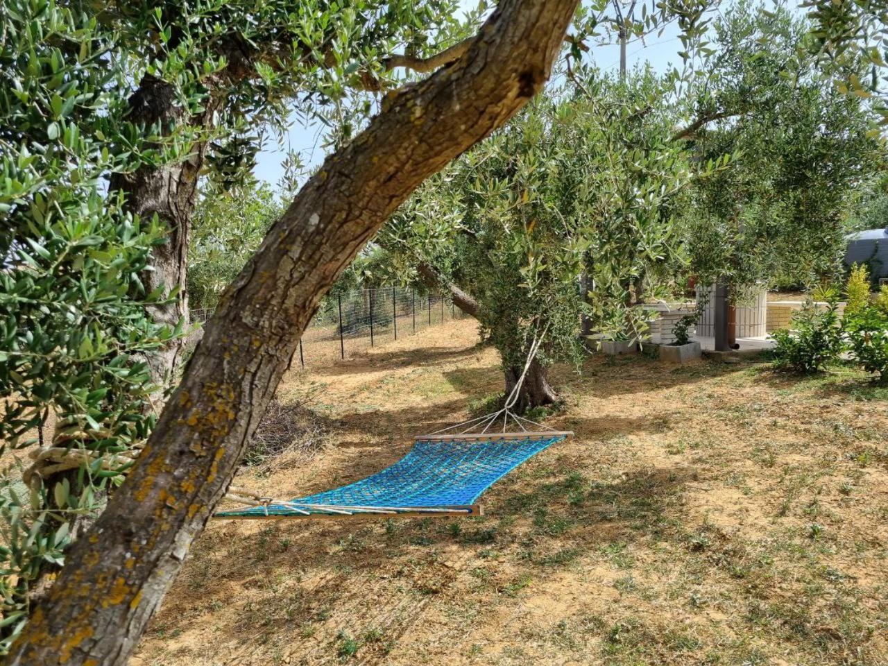 Accogliente Villa Con Piscina Caltagirone Dış mekan fotoğraf
